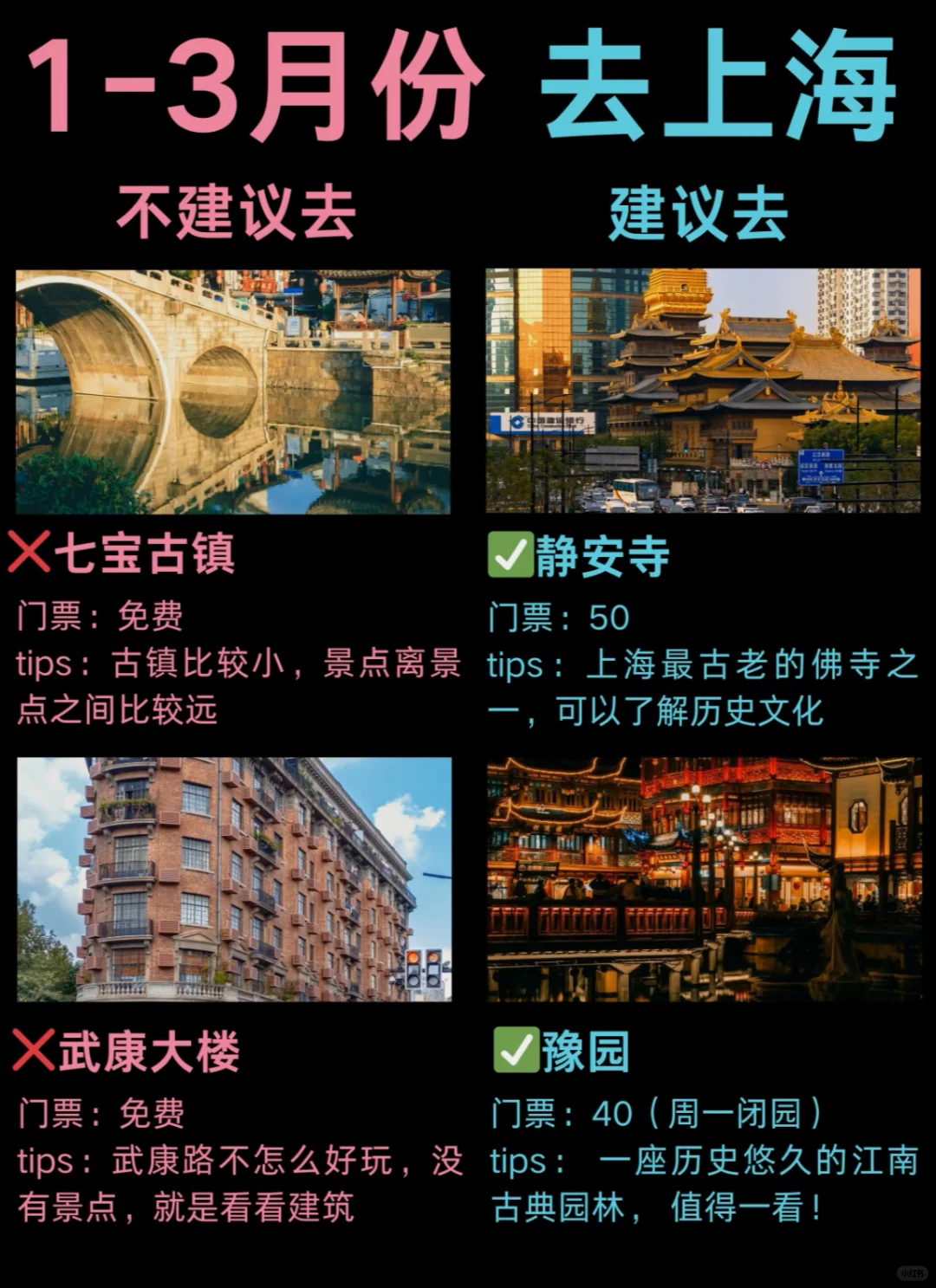 上海旅游攻略！2🈷️实拍～2-3月来上海必看🐴