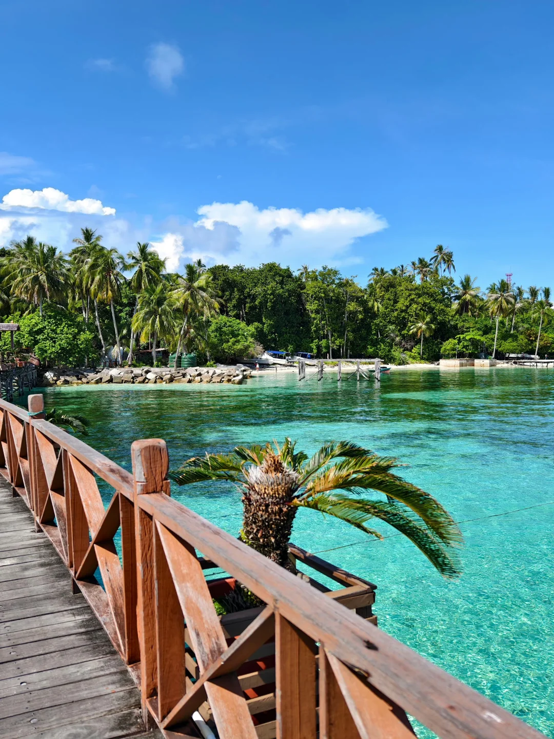 两个抠搜女生仙本那已回，听听我的真实感受