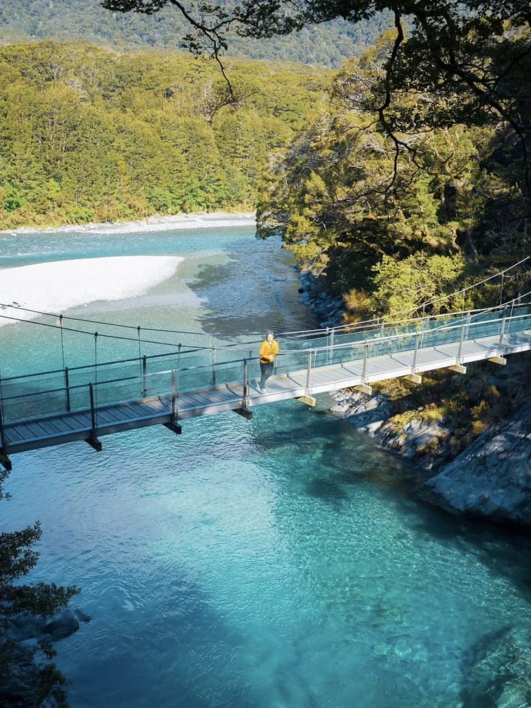 2025版🔥新西兰旅游👉不踩雷攻略！！