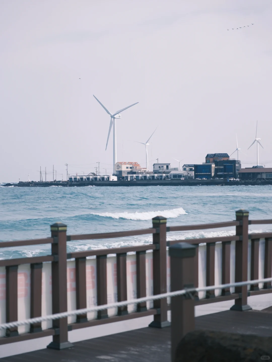 济州岛懒人旅游攻略