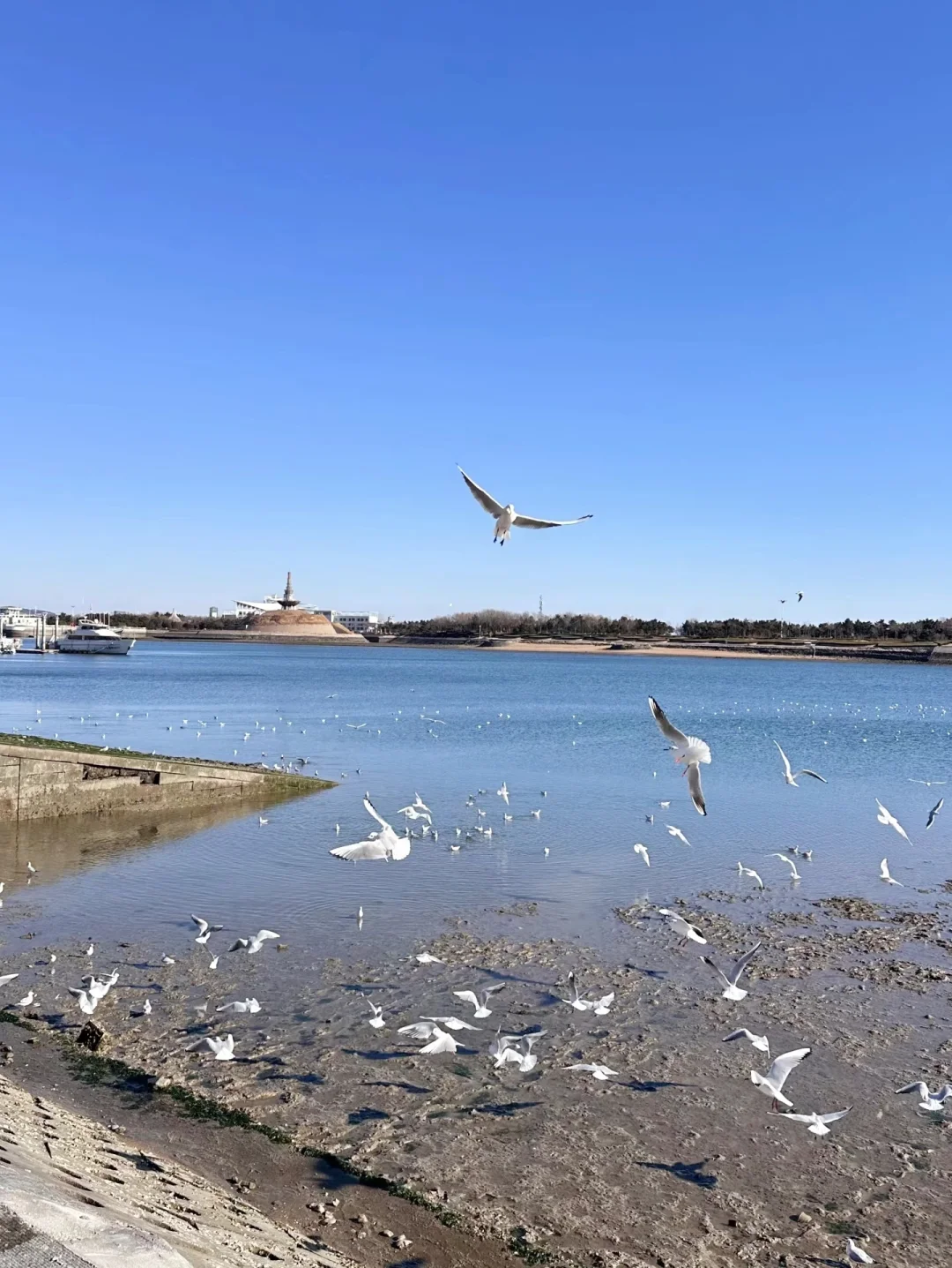 第1️⃣次来日照旅游必看！秒懂旅游攻略
