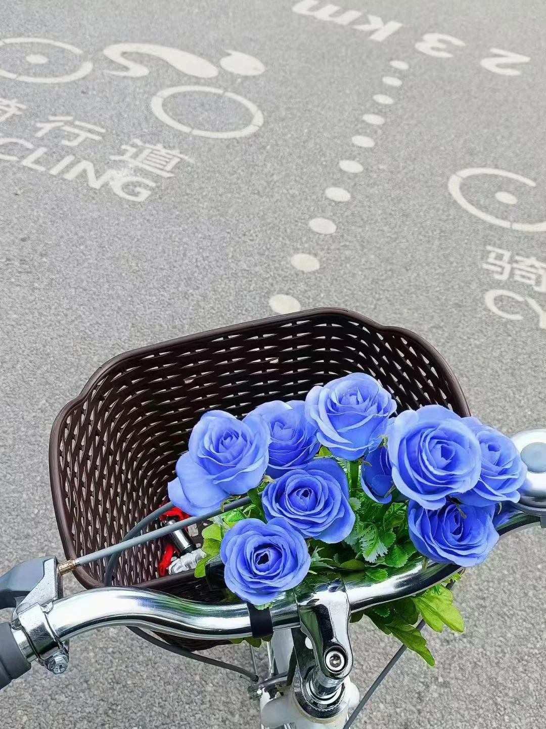 大理旅游史上最全攻略~有这一篇就够了