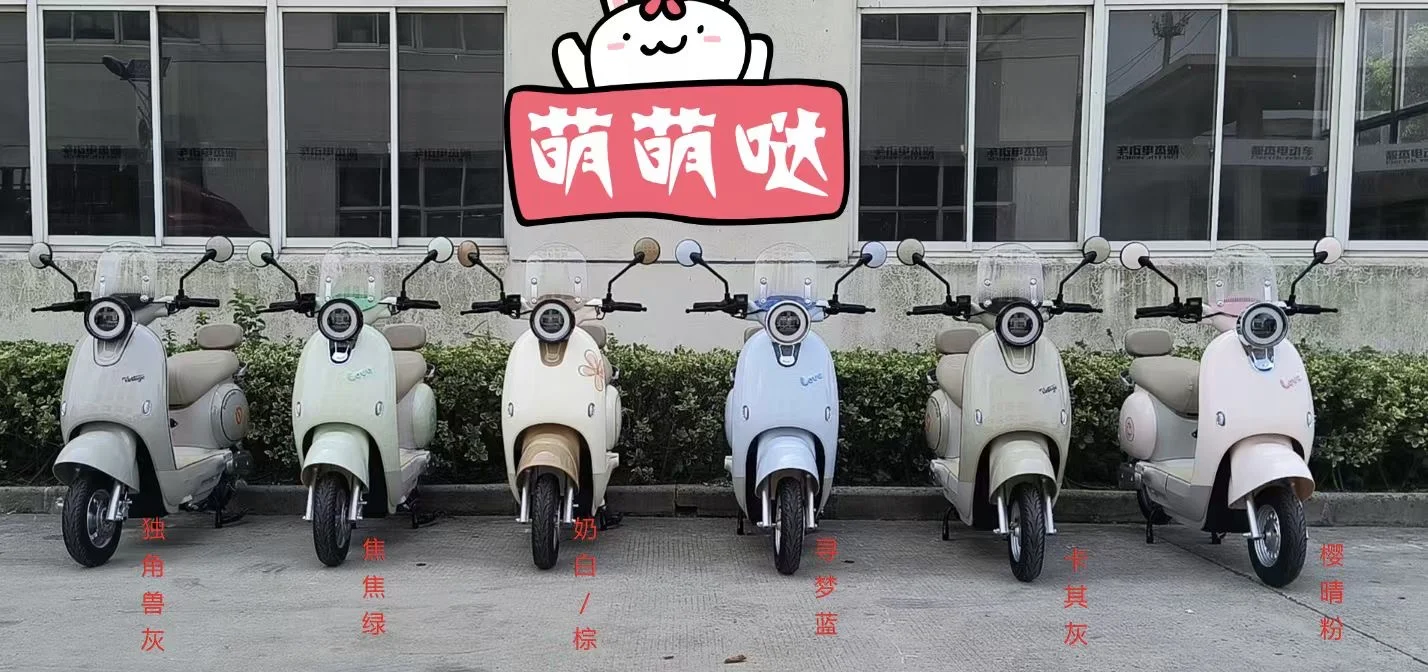 海口租电动车🛵旅游攻略