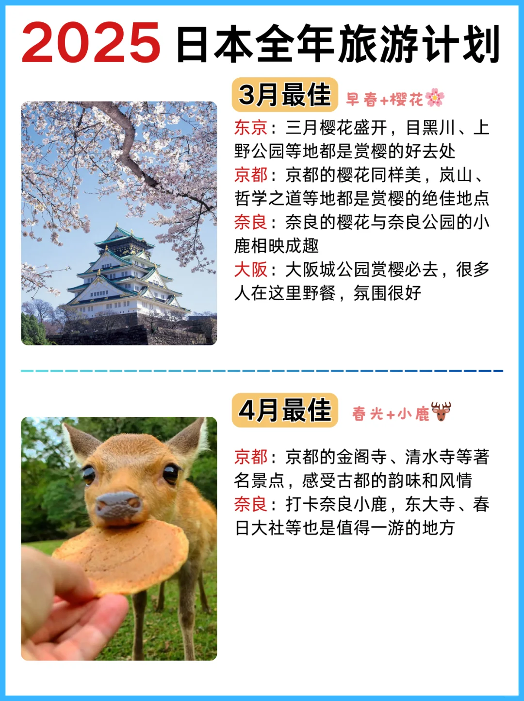 2025去日本旅游丨全年旅游计划攻略