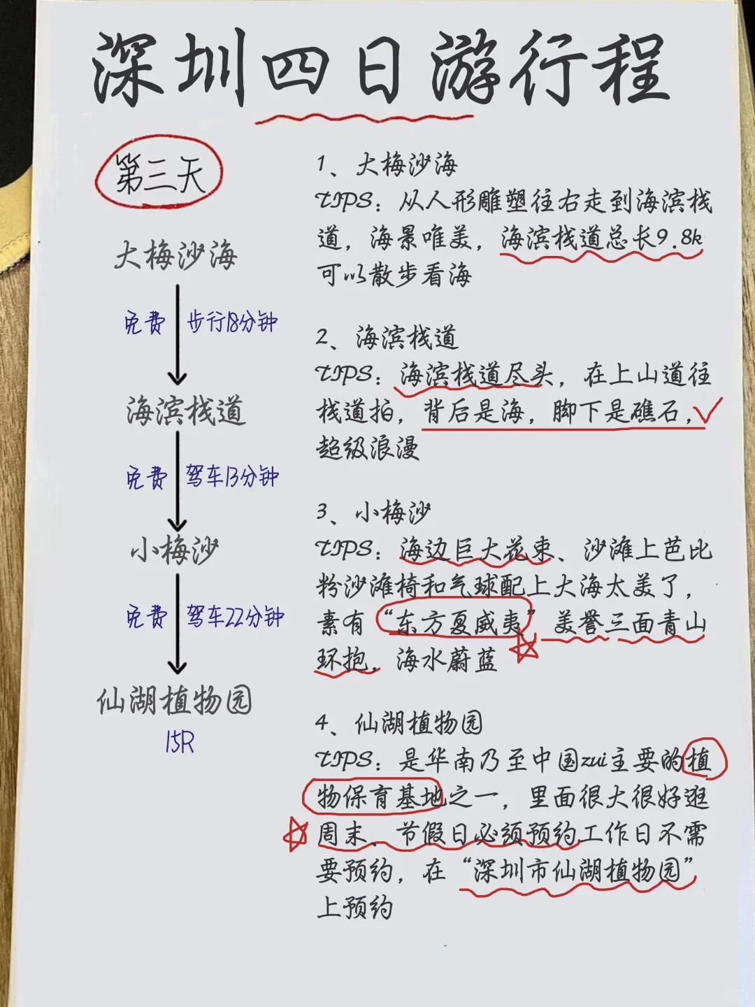 大学生连夜写的深圳四日游攻略❤‍🩹一定要看