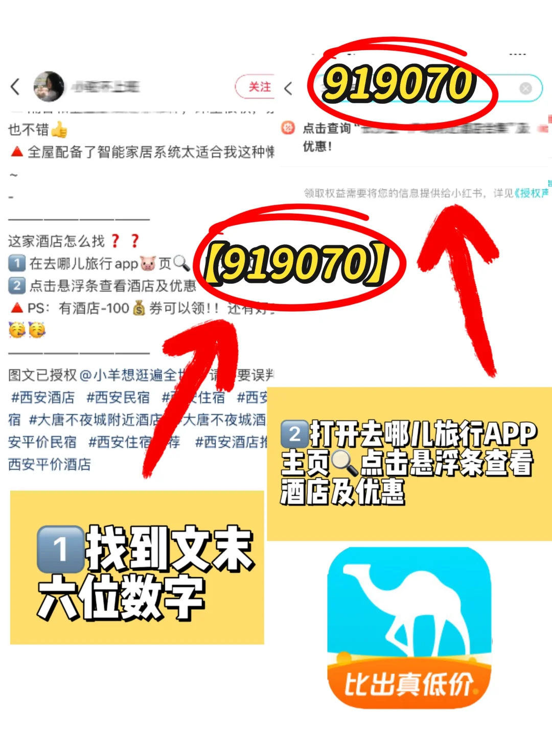 1-3🈷春节&寒假去洛阳，不做攻略劝你别来‼