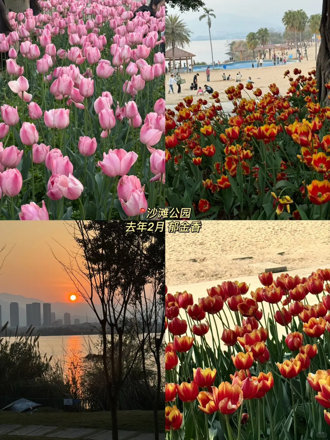 本人做的福州旅游攻略已经next level了！！！