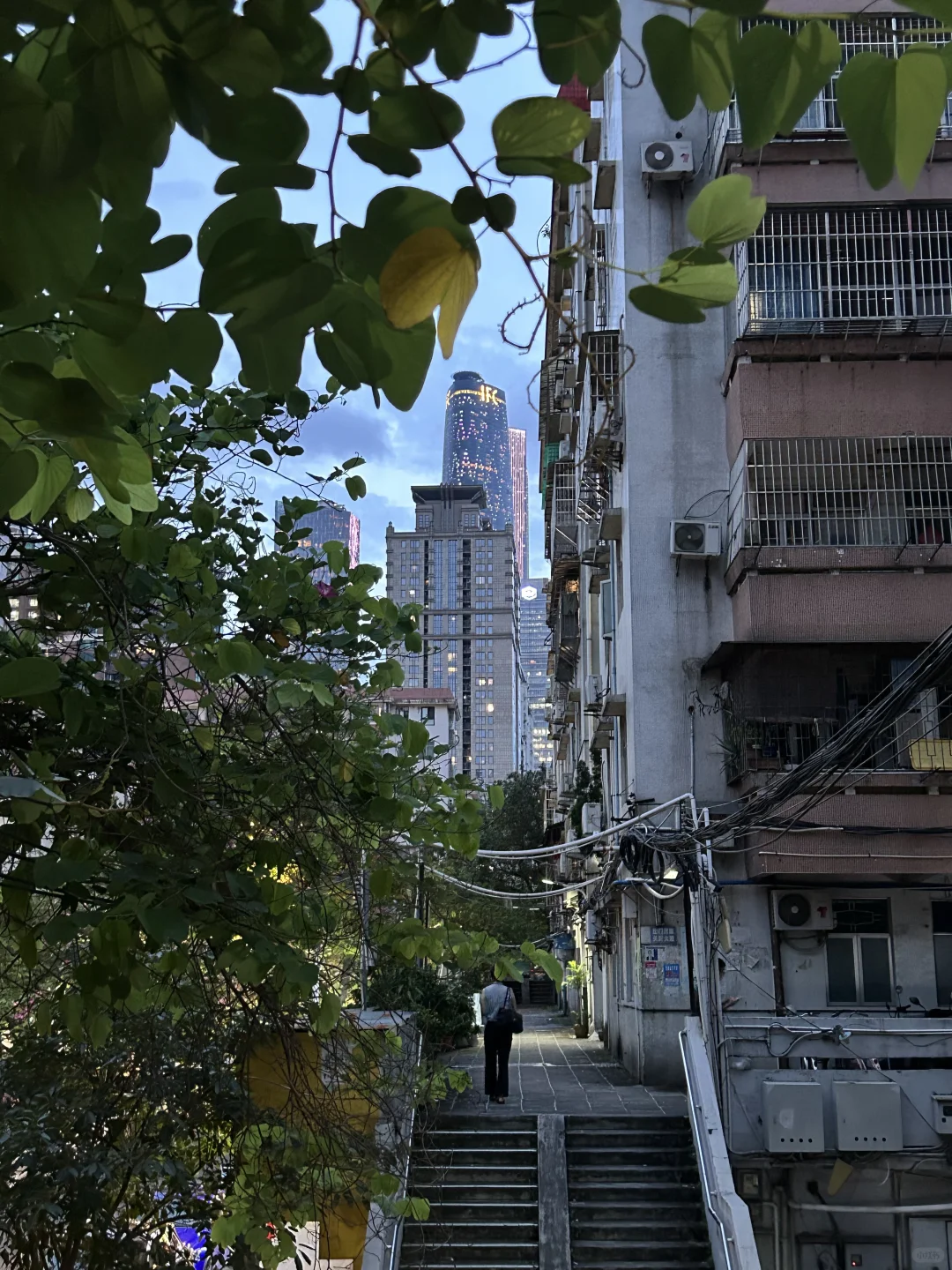 广州根本不是小红书上说的那样。。。