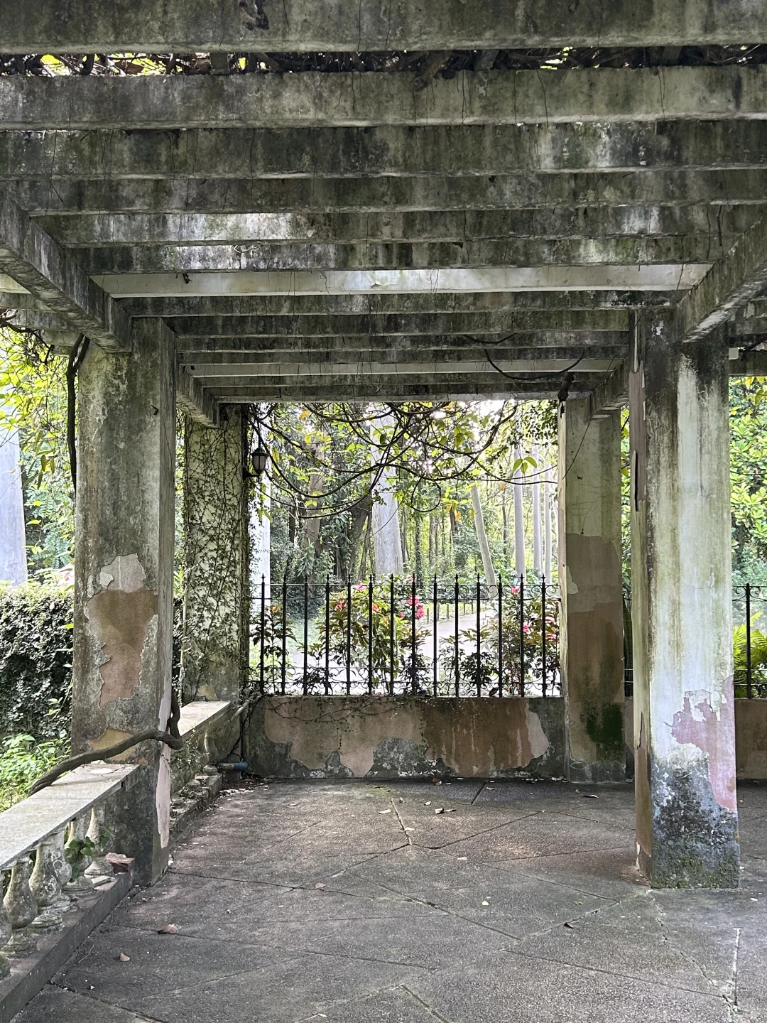 广州根本不是小红书上说的那样。。。