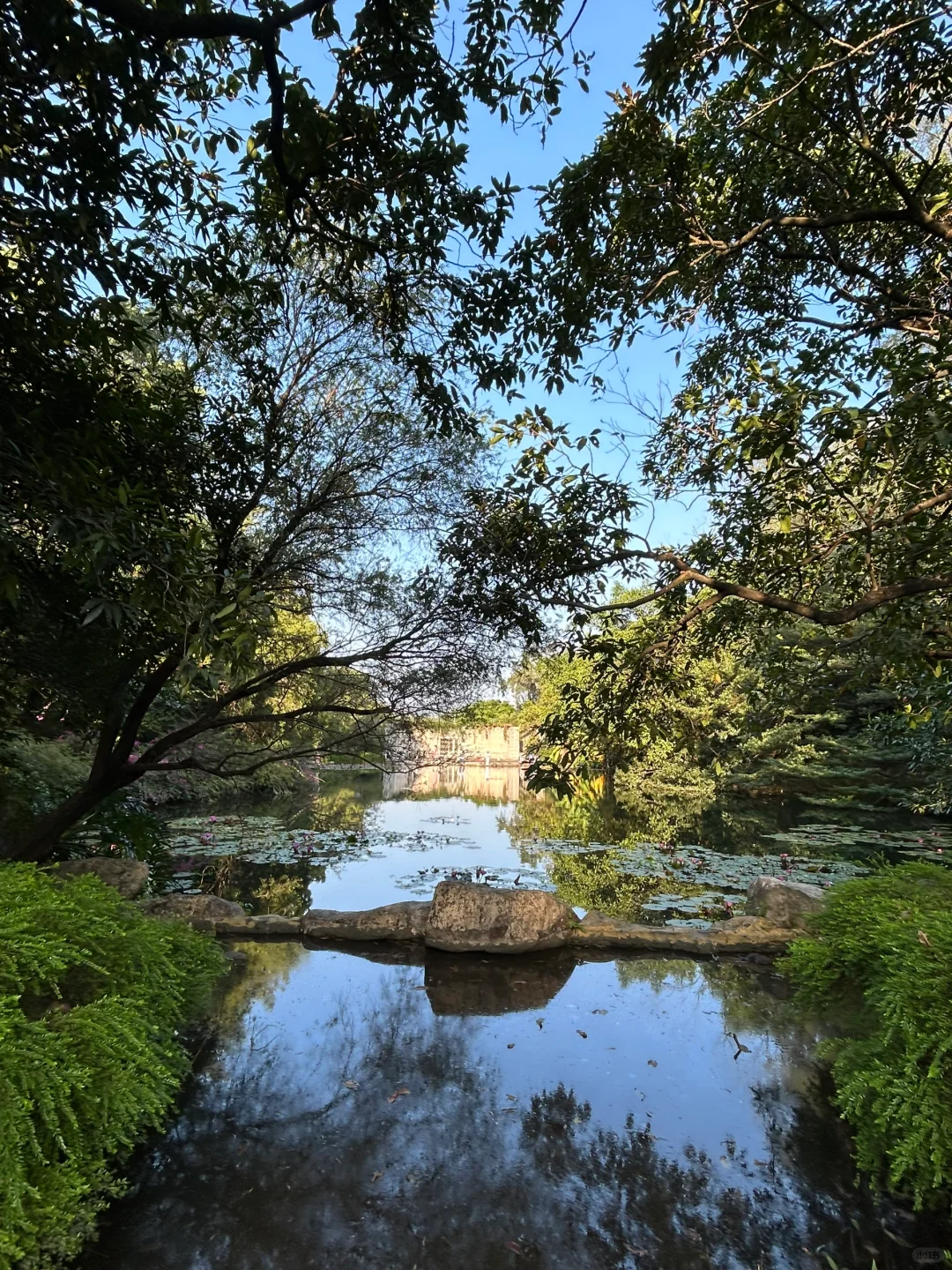 广州根本不是小红书上说的那样。。。