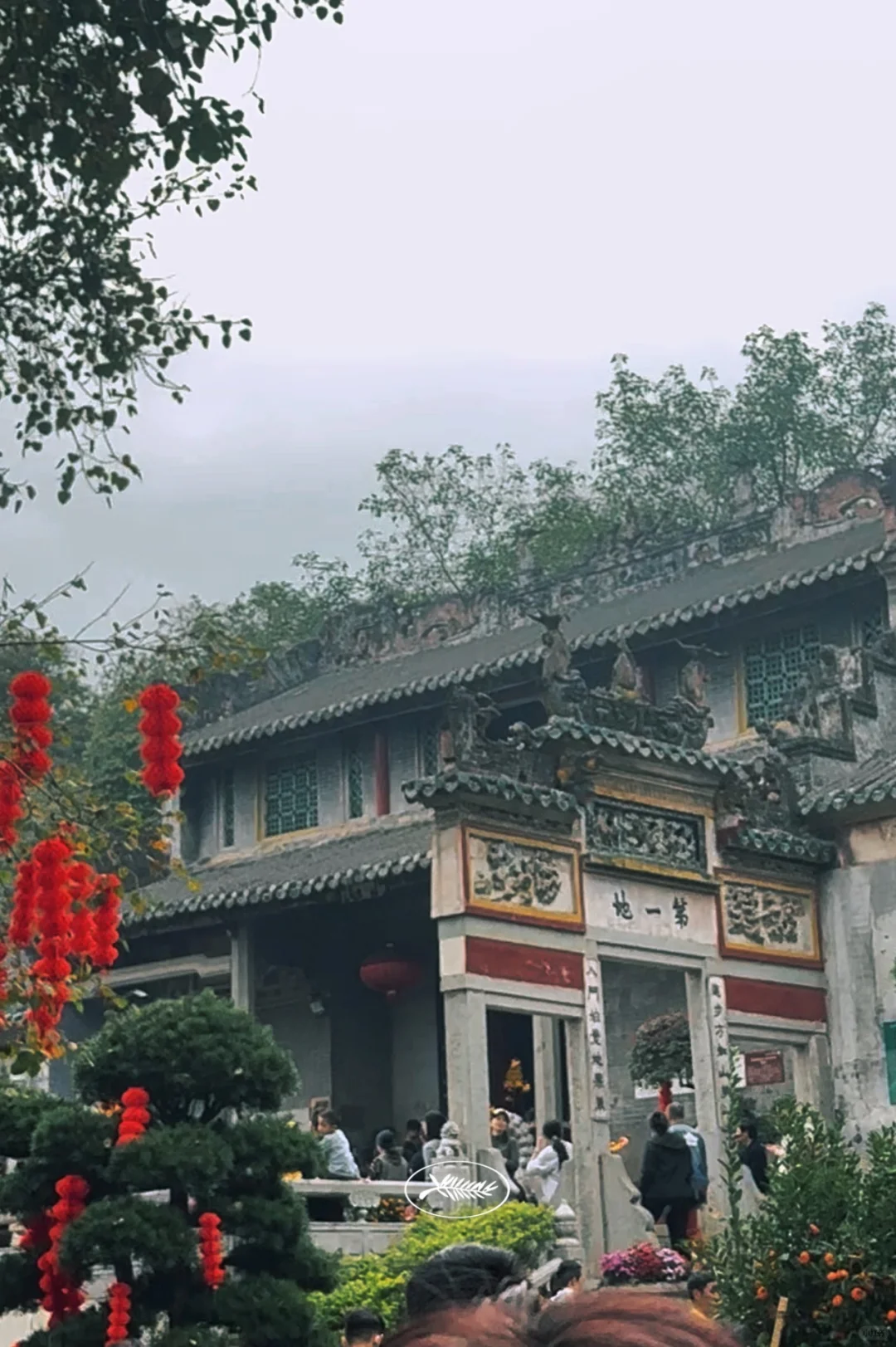 春节好去处-新兴打卡旅游攻略