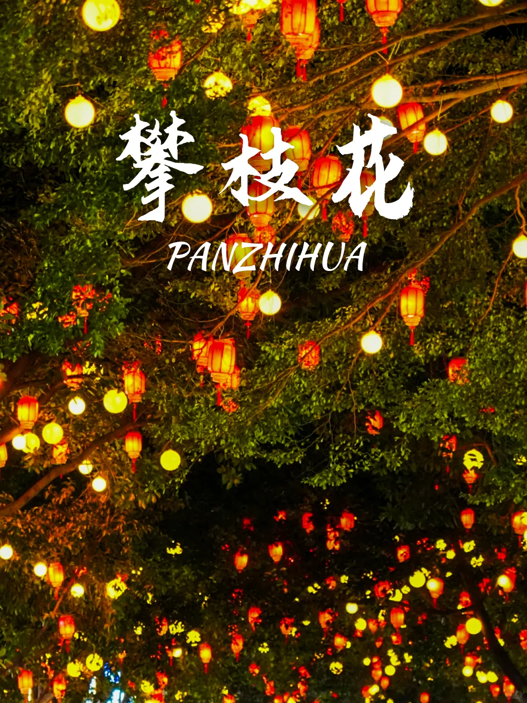 反向旅游‼️9个适合春节出行的旅游目的地