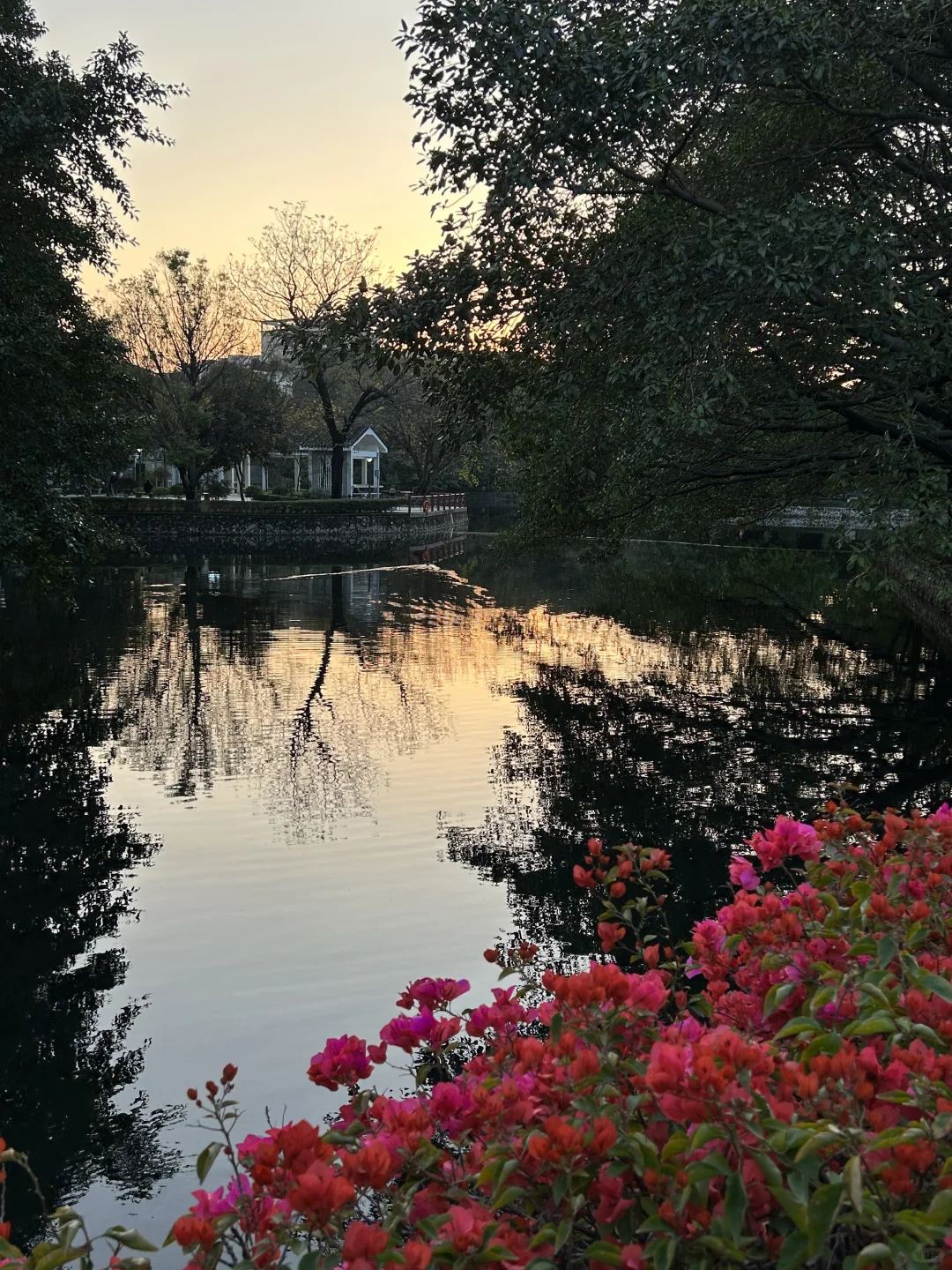 广州根本不是小红书上说的那样。。。