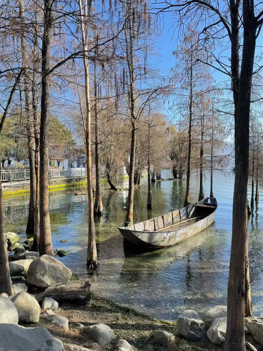 大理旅游史上最全攻略~有这一篇就够了