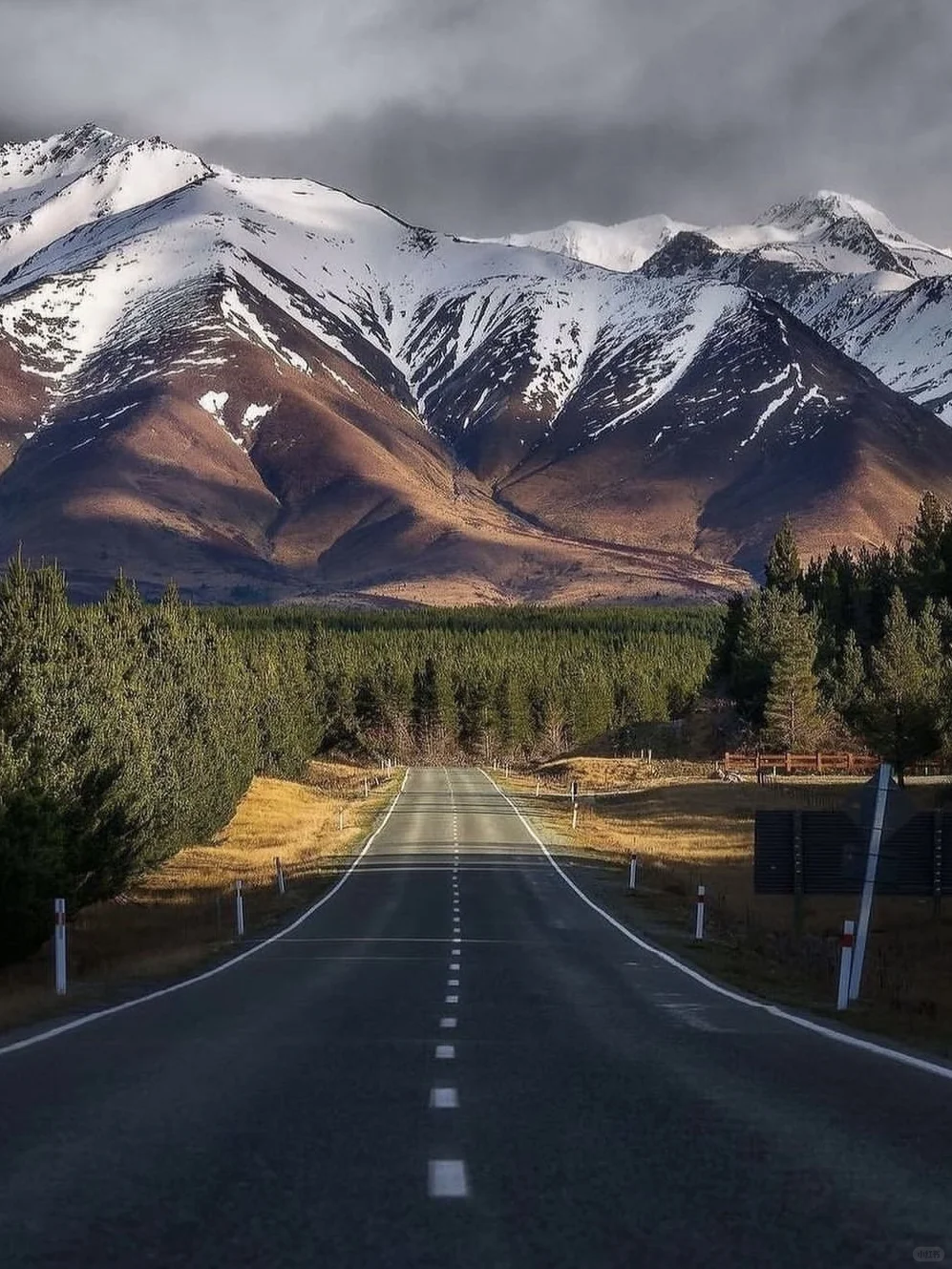 2025版🔥新西兰旅游👉不踩雷攻略！！