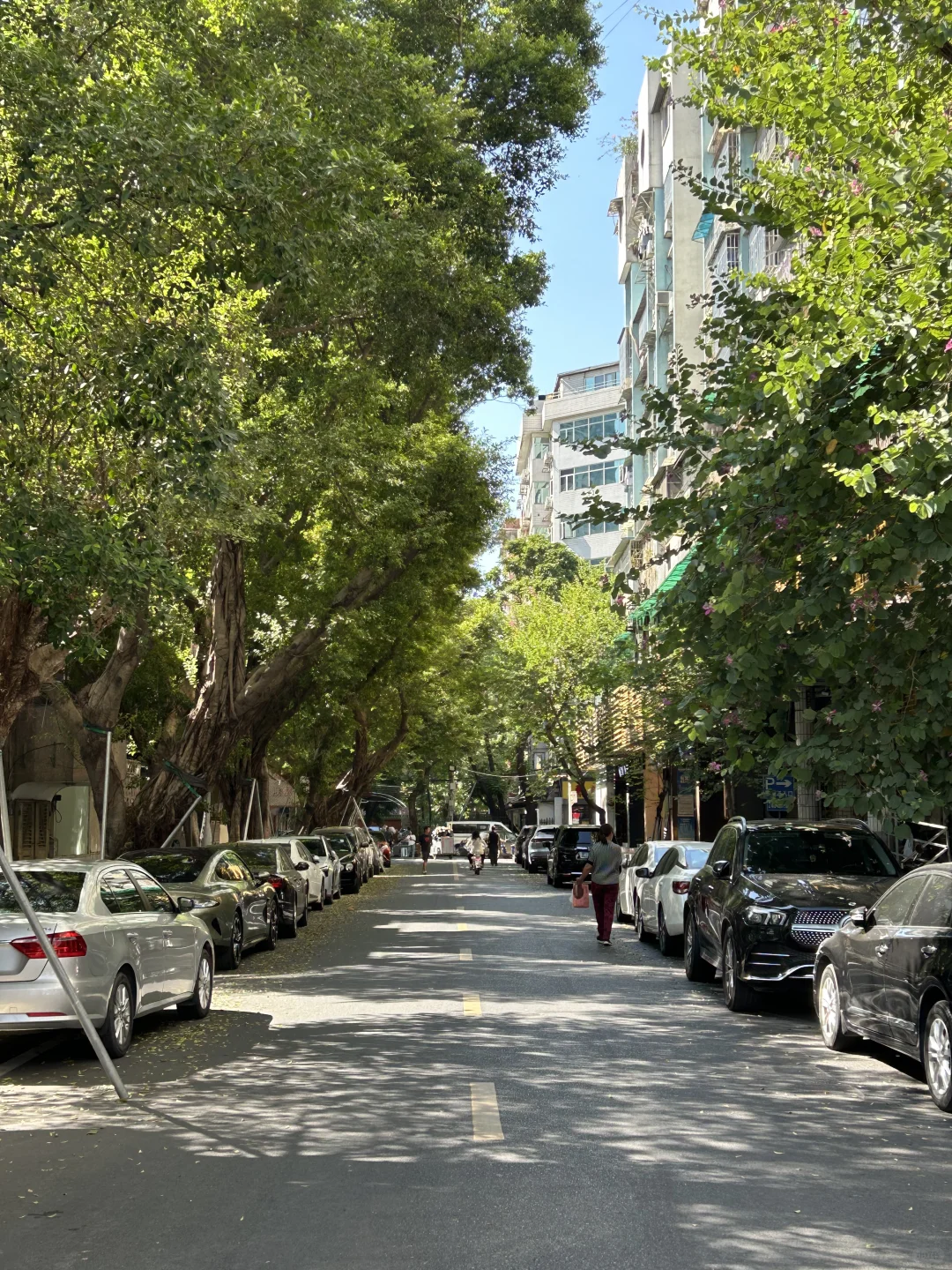 广州根本不是小红书上说的那样。。。