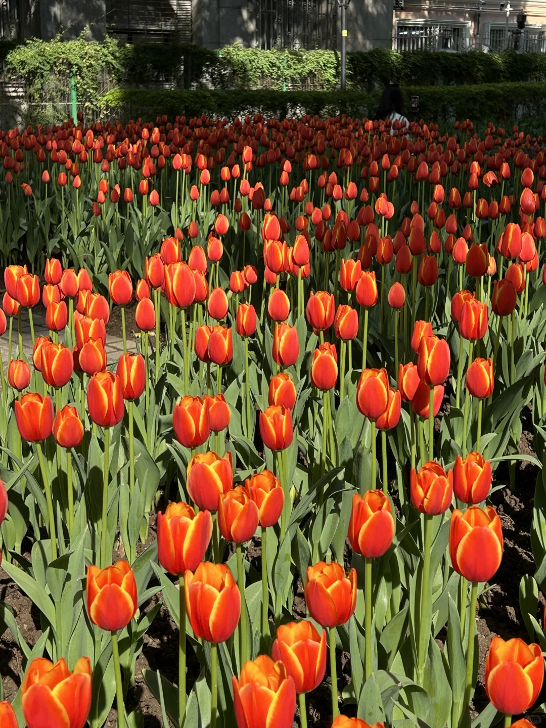 广州根本不是小红书上说的那样。。。