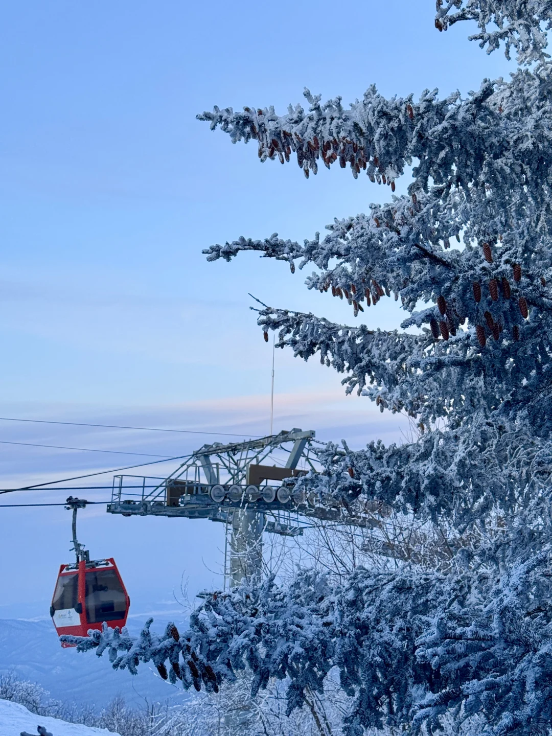 哈尔滨包车旅游!12-2月怎么玩!!速存