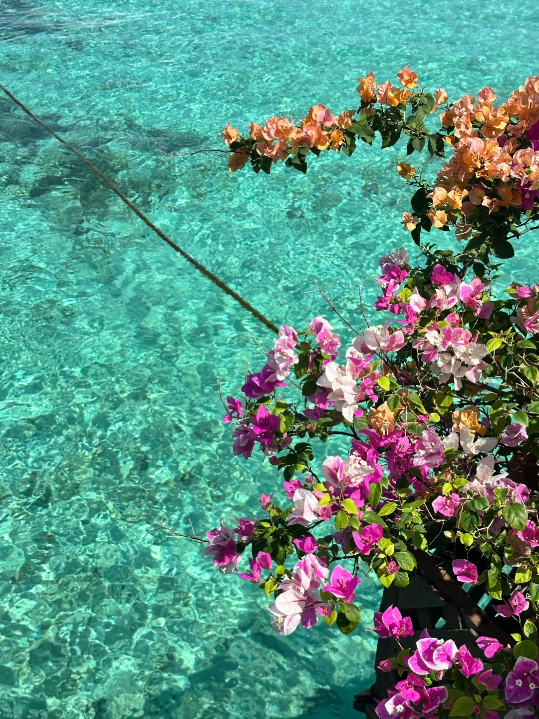 两个抠搜女生仙本那已回，听听我的真实感受