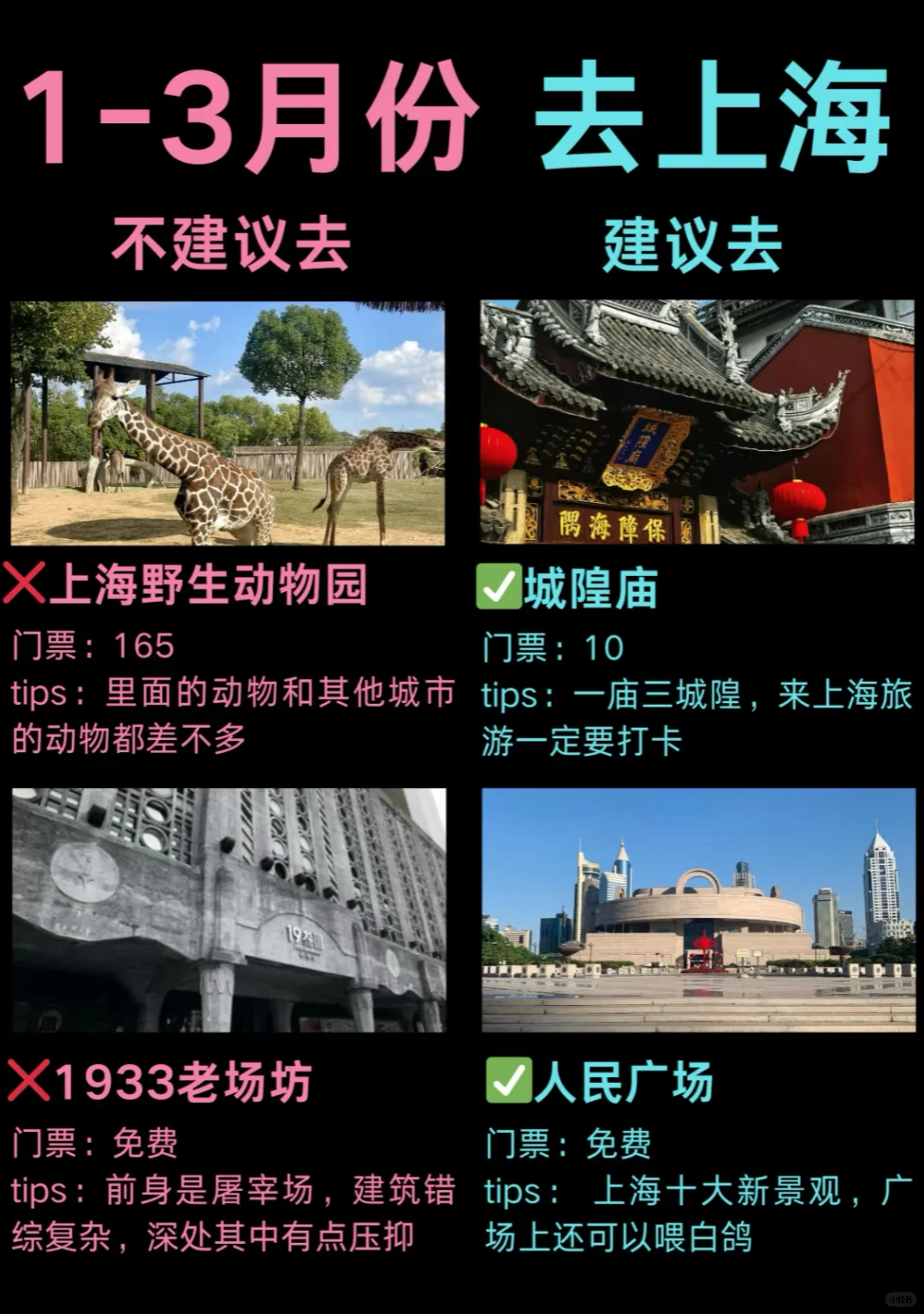 上海旅游攻略！2🈷️实拍～2-3月来上海必看🐴