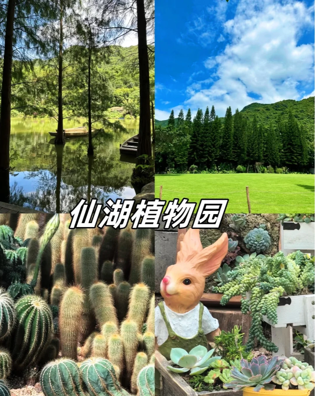 深圳自驾游推荐