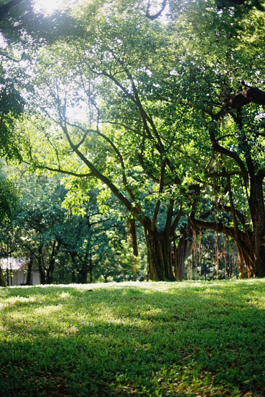 广州根本不是小红书上说的那样。。。