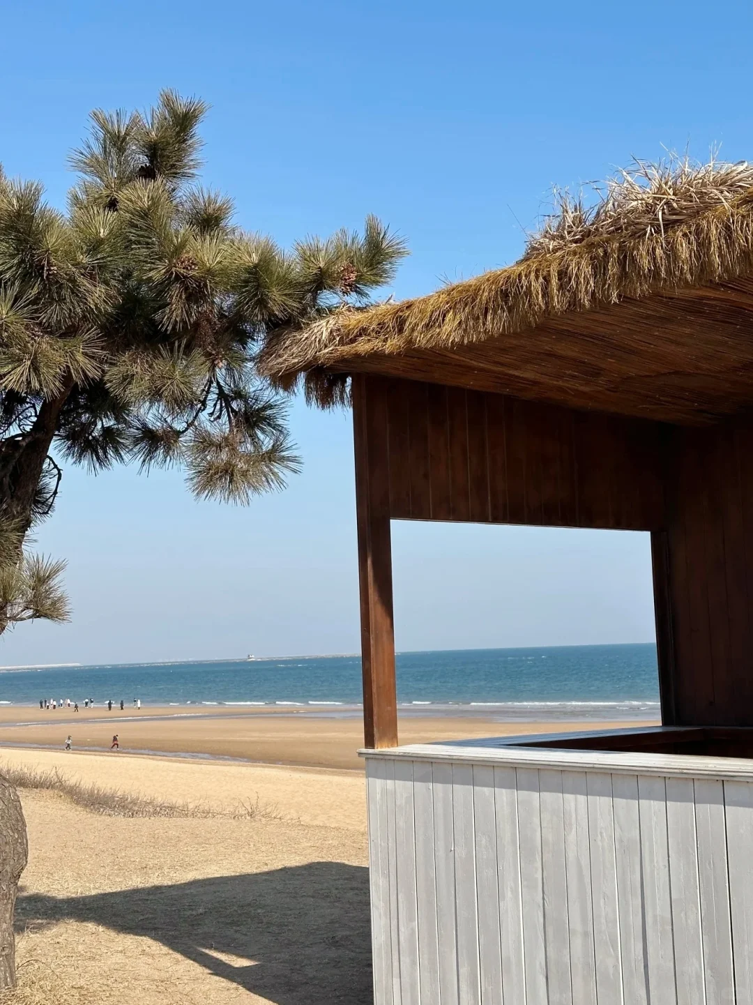 第1️⃣次来日照旅游必看！秒懂旅游攻略