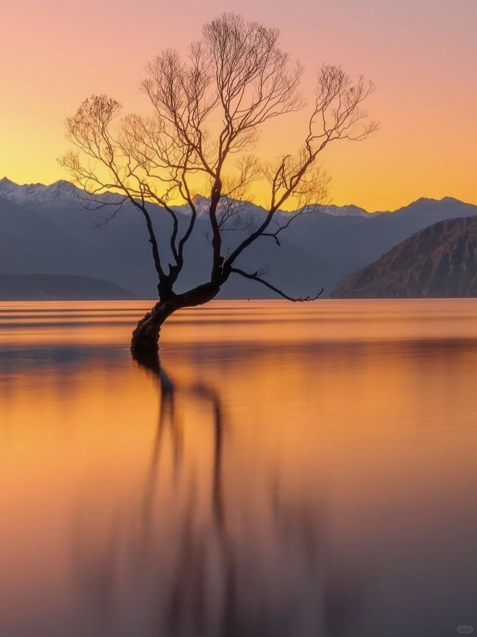 2025版🔥新西兰旅游👉不踩雷攻略！！