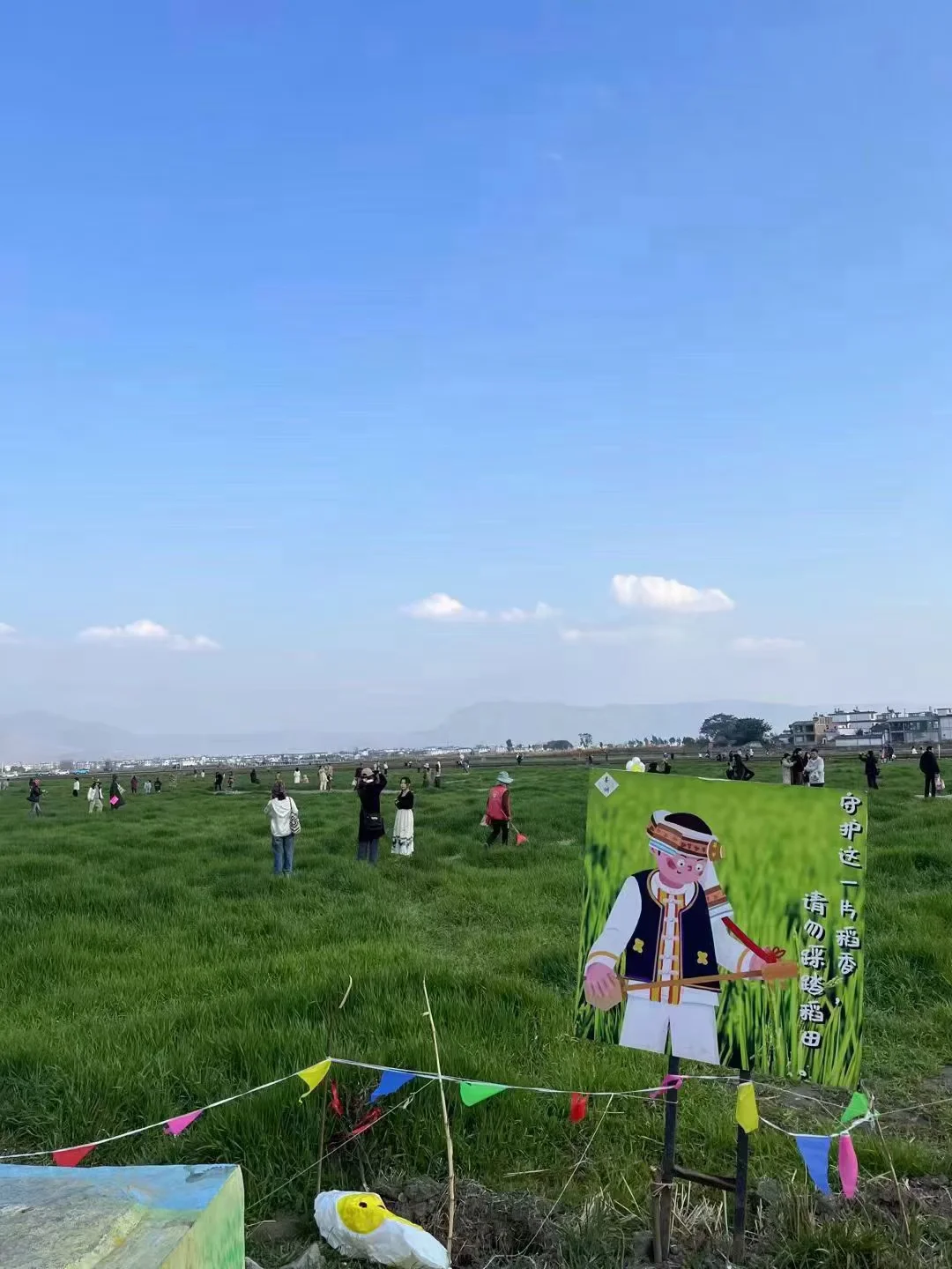 大理旅游史上最全攻略~有这一篇就够了