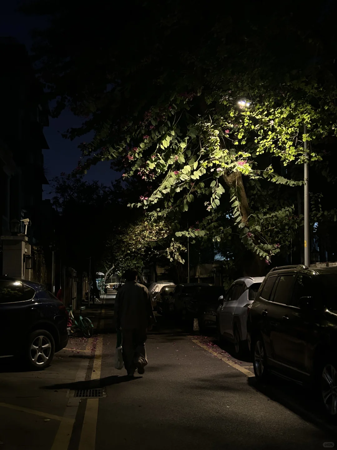 广州根本不是小红书上说的那样。。。