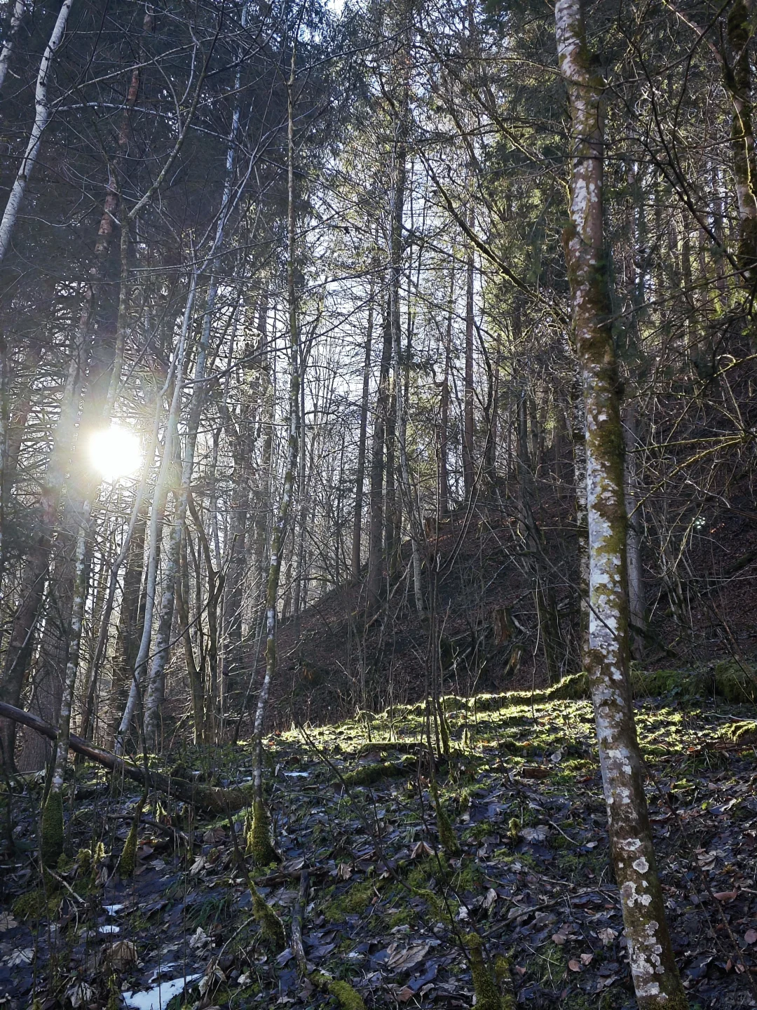 奥利匹克公园和PARTNACH-KLAMM