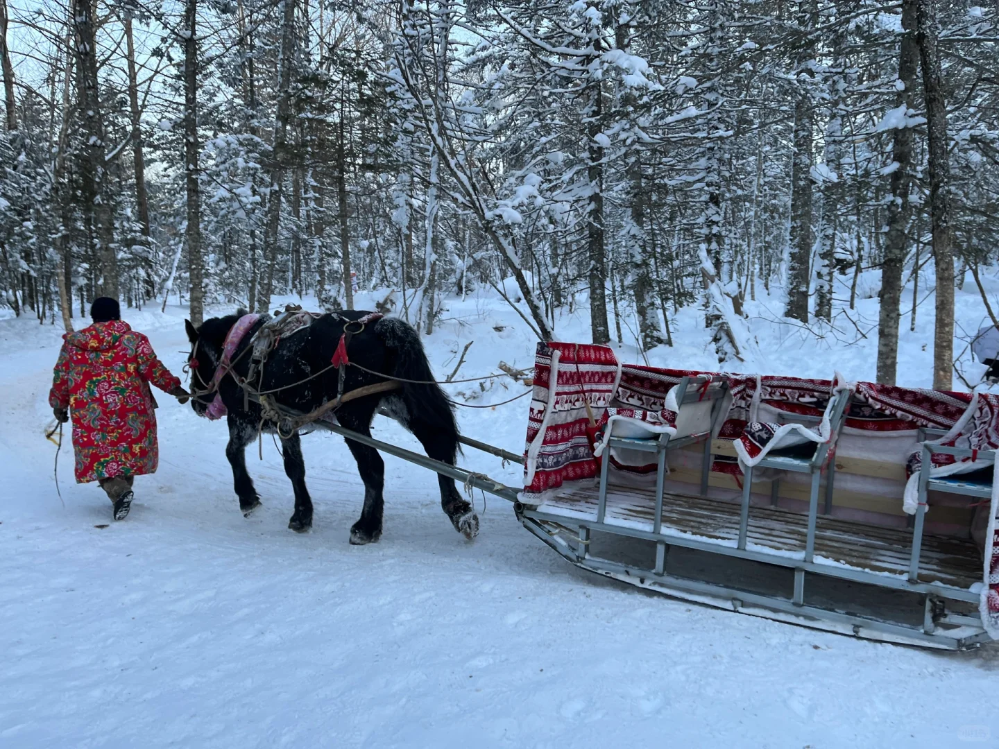 老里克湖这种景点大可不必去，真的！！！