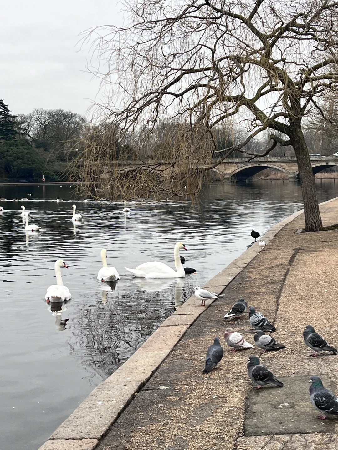 Day3 47岁阿姨穷游伦敦-泰晤士河沿线