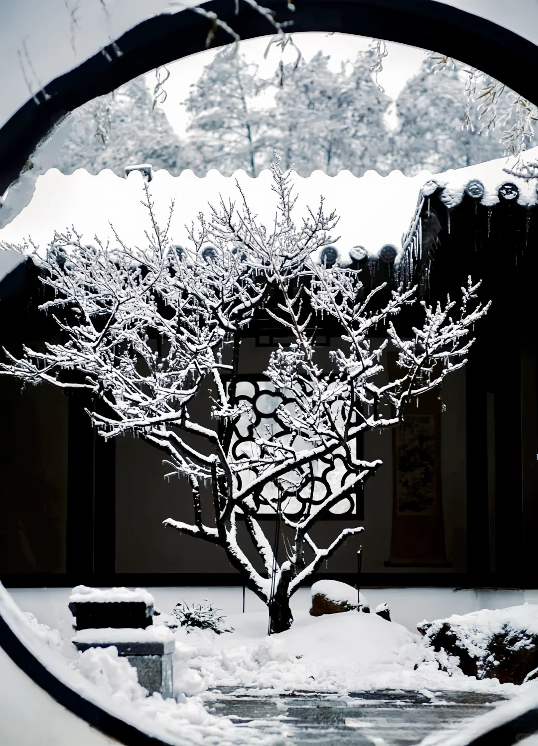 人生建议❗️1-2月在武汉不可错过的6️⃣处腊梅