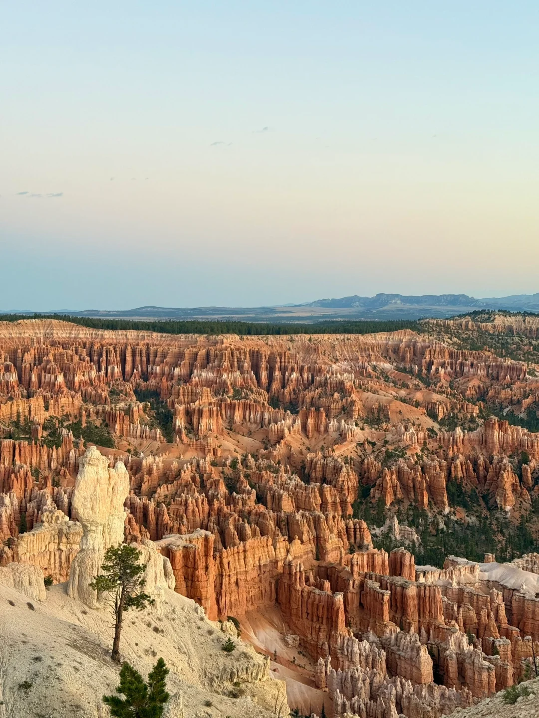 不是夸父也不影响追日