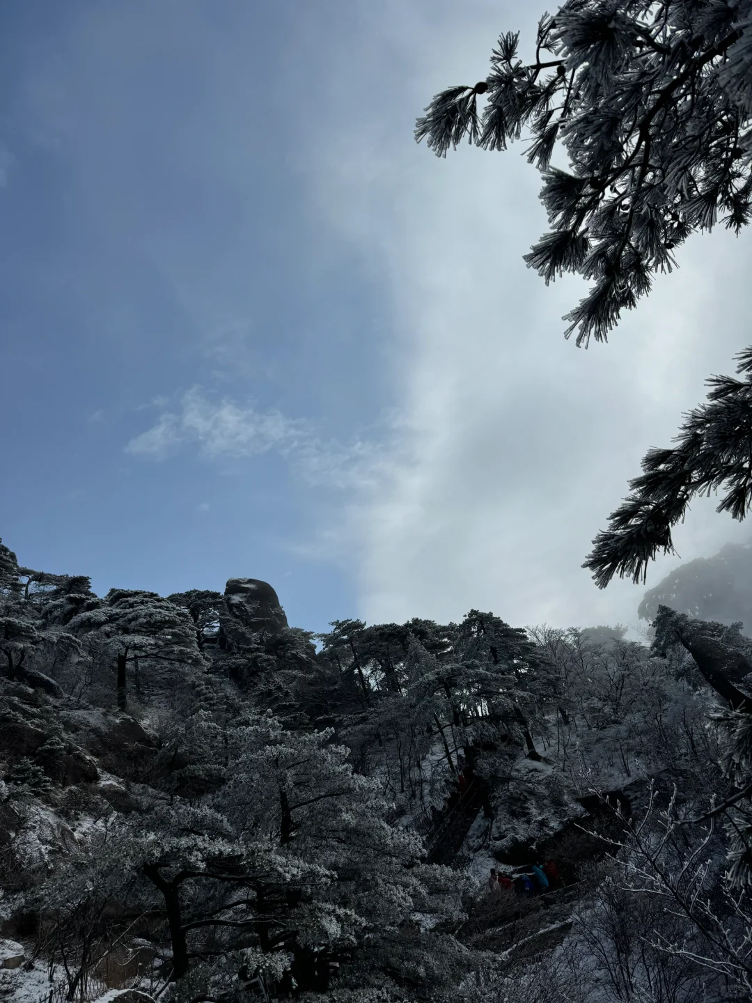 年初六的黄山，美了、值了～