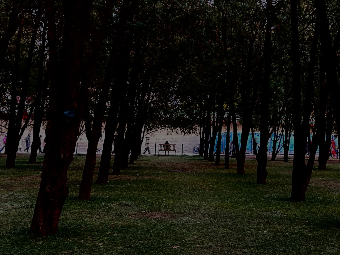 高二/物化生/Day5️⃣