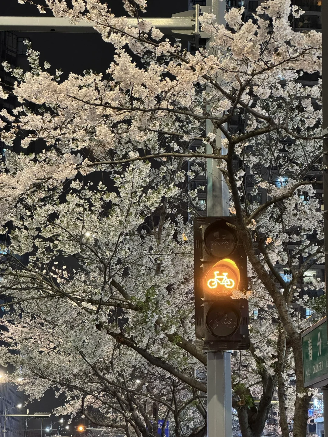 接下来的苏州，是万万次的春和景明🌸