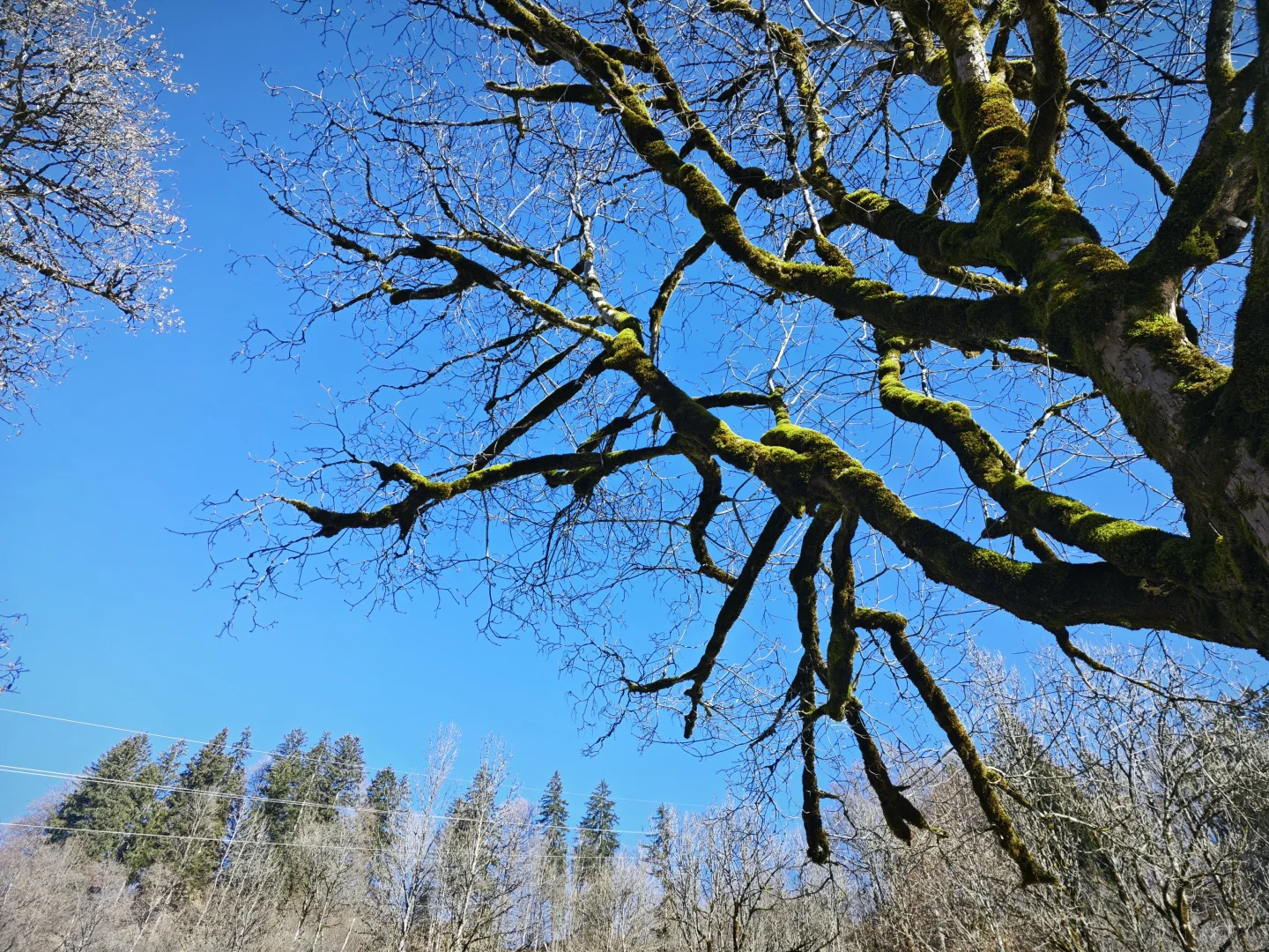 奥利匹克公园和PARTNACH-KLAMM