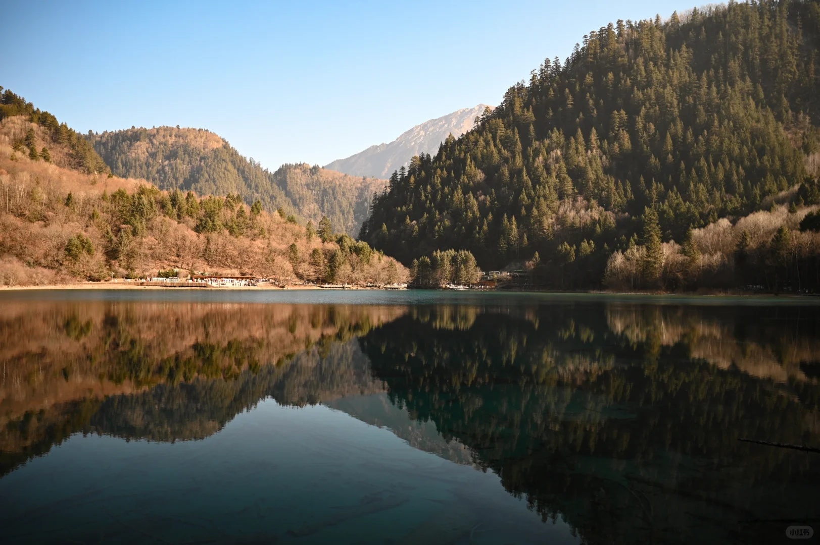 补档一下元旦的黄龙九寨行