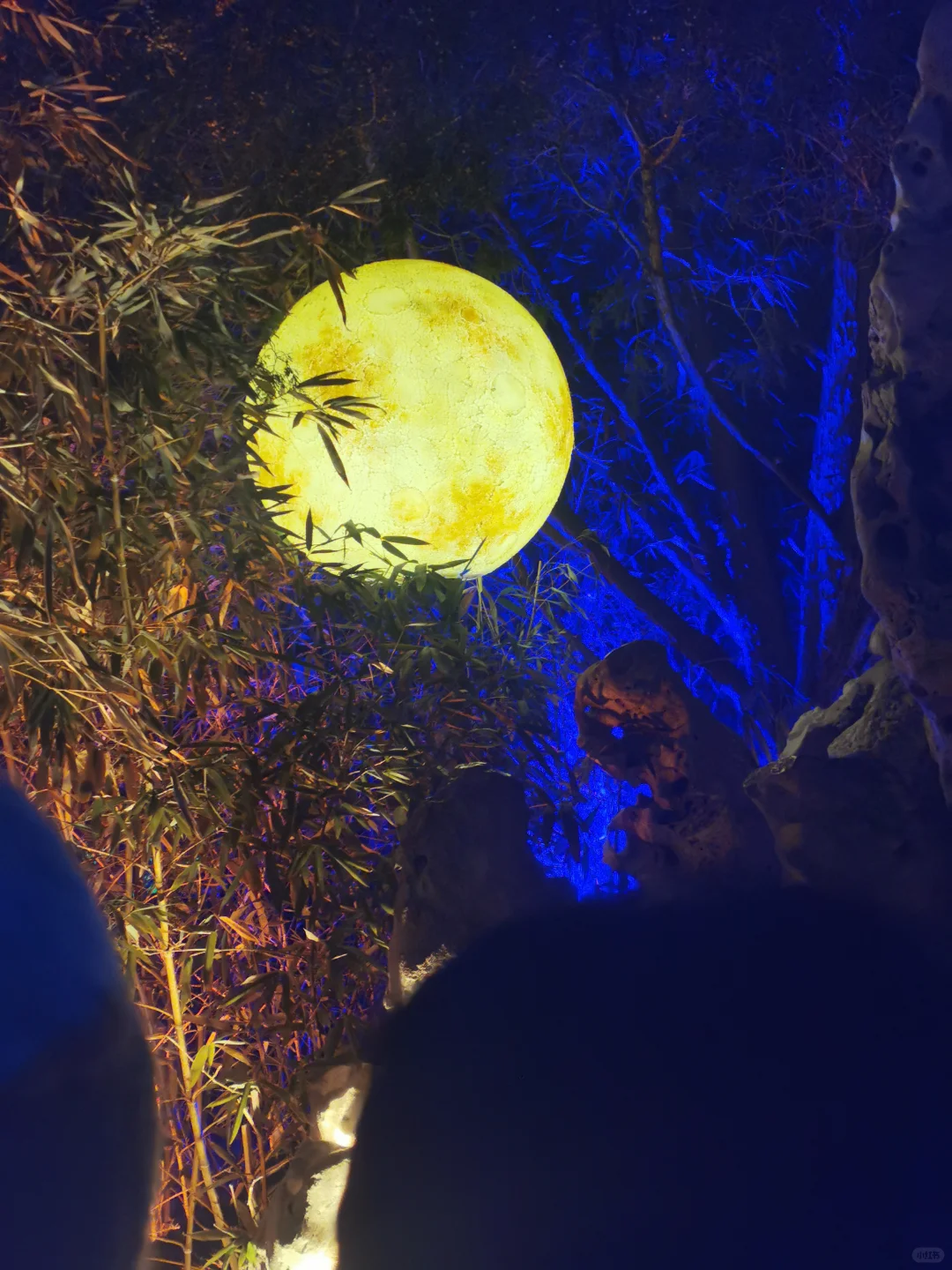 🏮邯郸！必须出片的美景，等你来打卡‼️