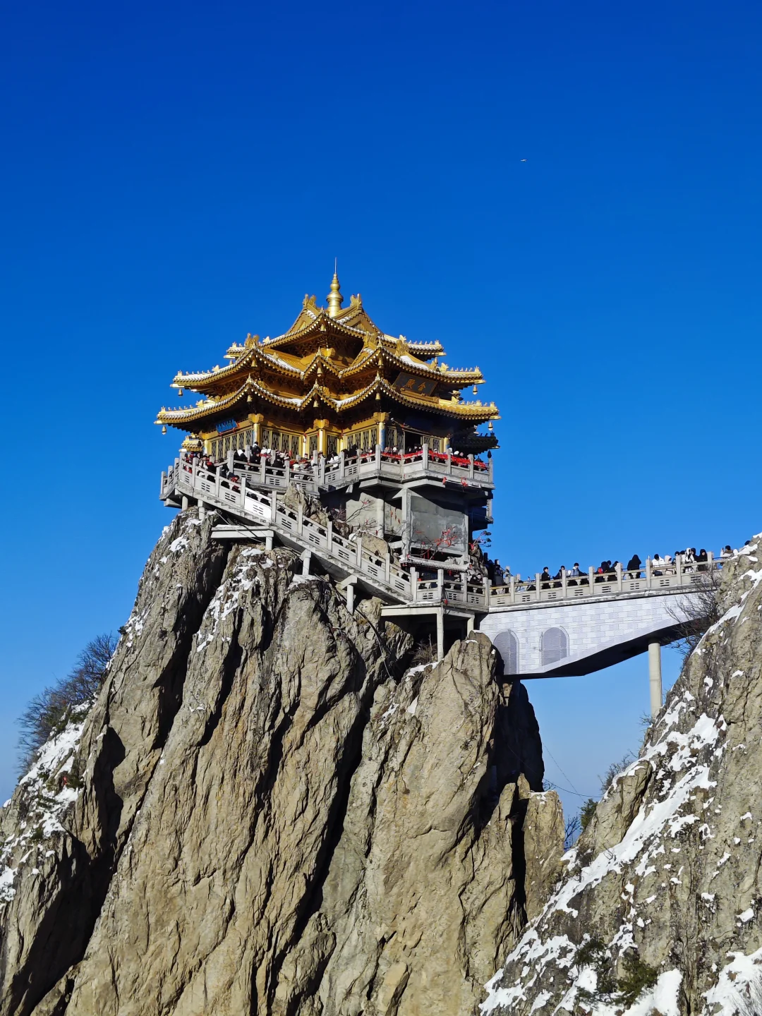 洛阳春节一周游后感