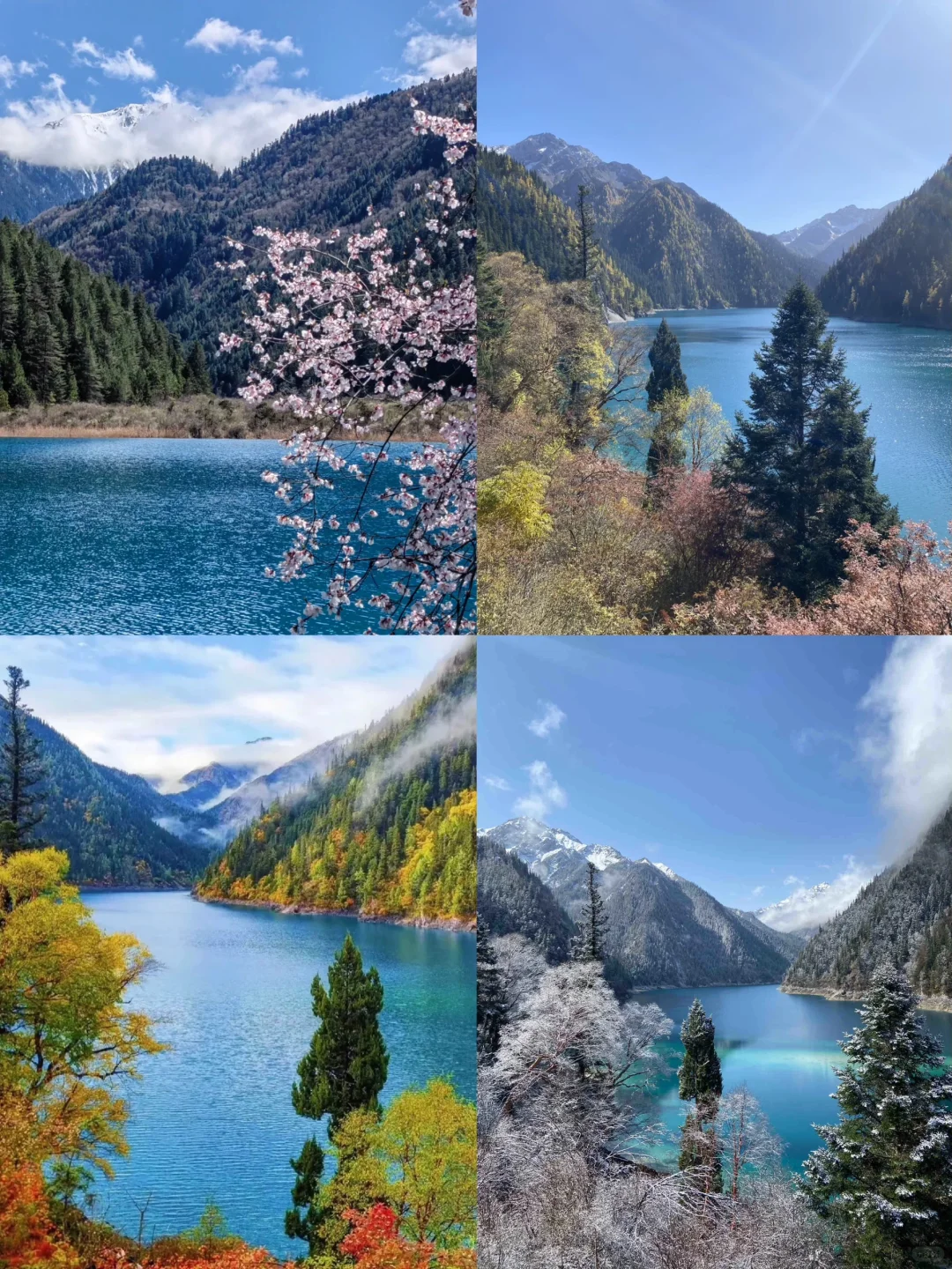 九寨沟淡季vs旺季‼看完再决定什么时候去