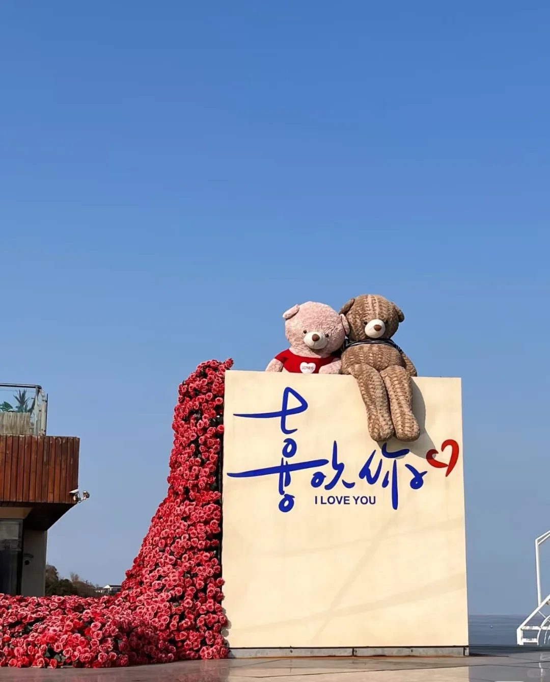 ᵎᵎᵎᵎ冬天的海你看了吗🌀 ✧