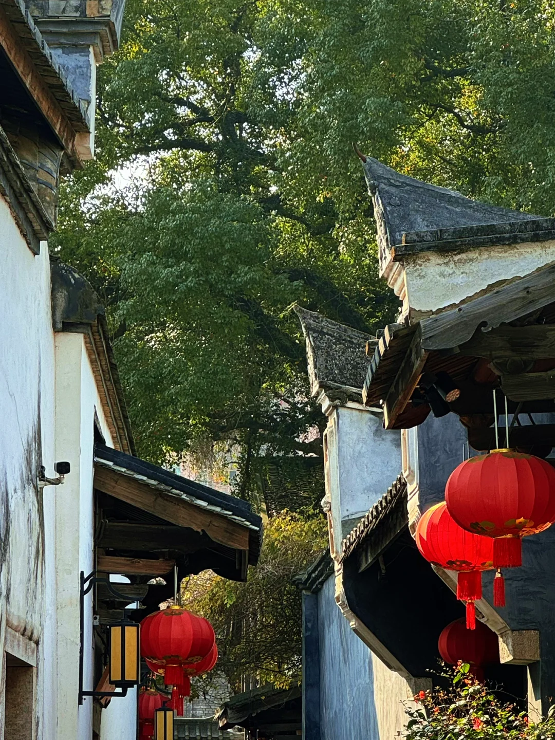 做有福之人❤️来有福之州📷三坊七巷打卡攻略