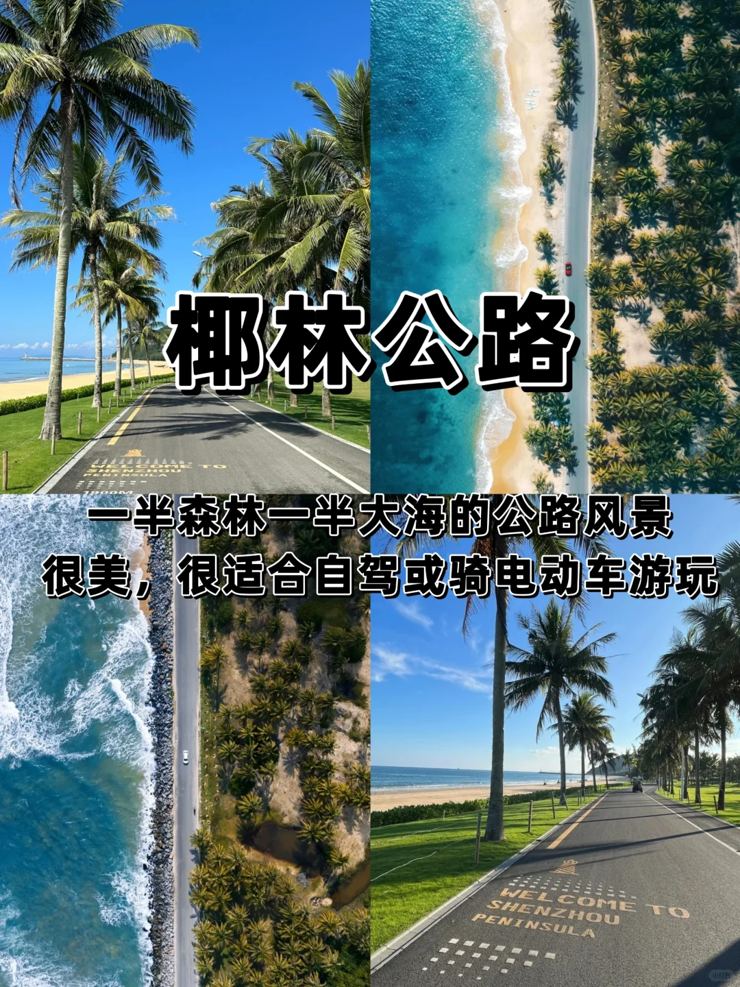 为了这几张照片特意飞海南/万宁！！！