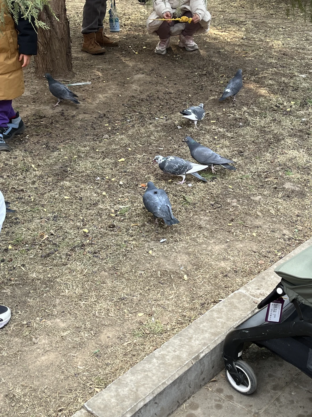 高二/物化生/Day5️⃣