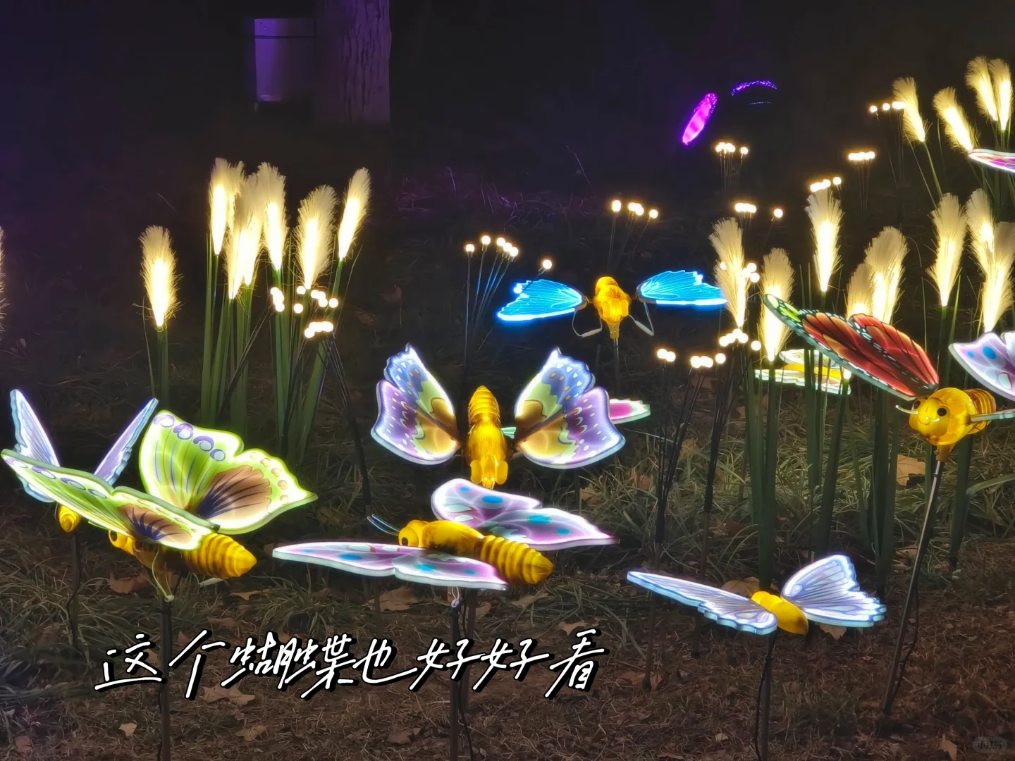 邯郸｜夜景去丛台！