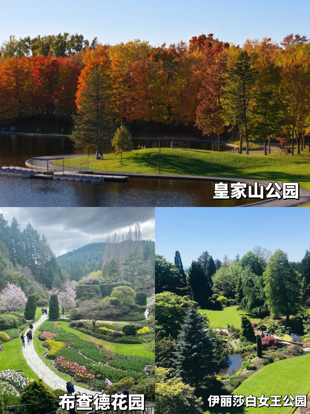 🇨🇦小C精选:必去景点推荐Top20