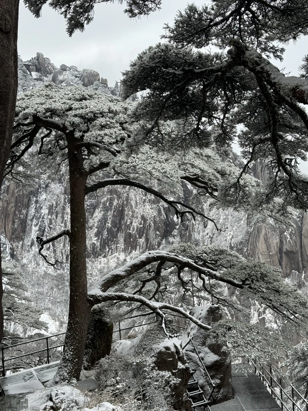 年初六的黄山，美了、值了～